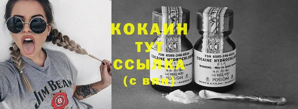 индика Алзамай