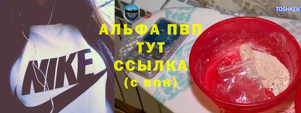 СК Алексин