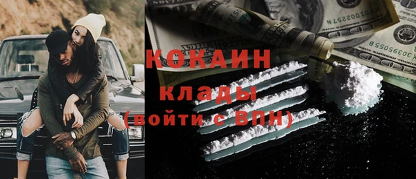 индика Алзамай