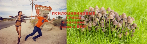 СК Алексин