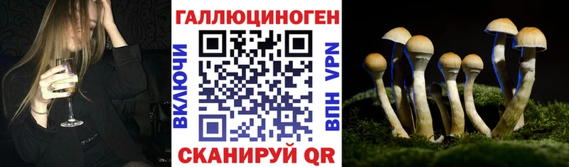Псилоцибиновые грибы GOLDEN TEACHER  Мытищи 